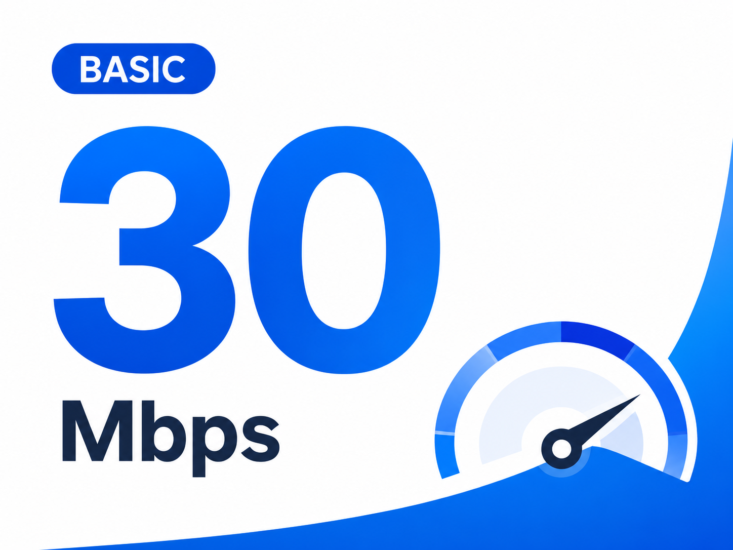 BASIC 30 Mbps